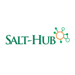 THE SALTHUB NG